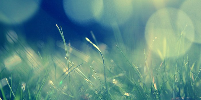 What is grief? What is grief?